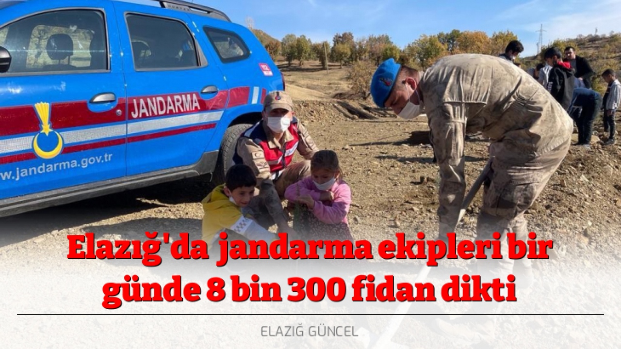 Elazığ'da jandarma ekipleri bir günde 8 bin 300 fidan dikti