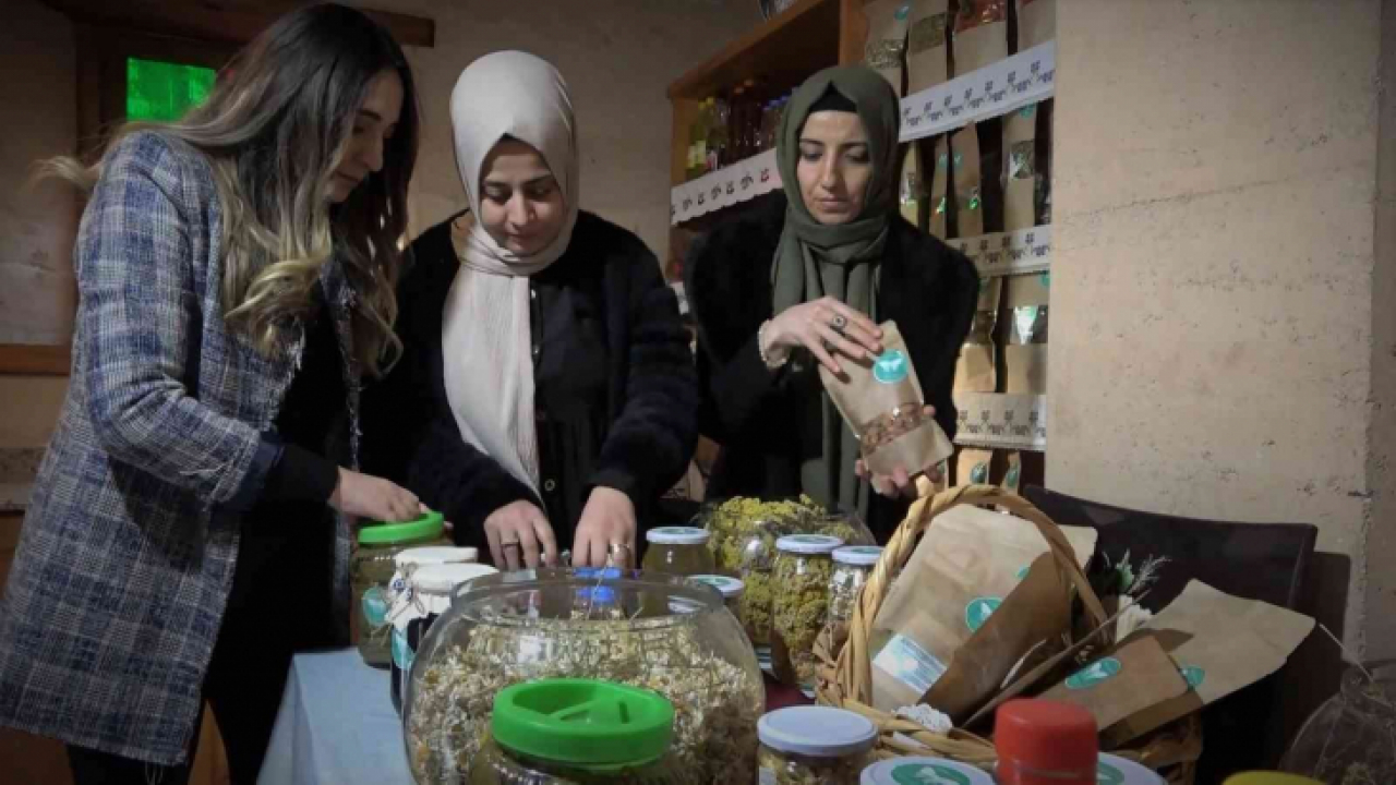Kadınlar kooperatif kurdu, 'Anadolu Meleği' markasıyla satışa başladı