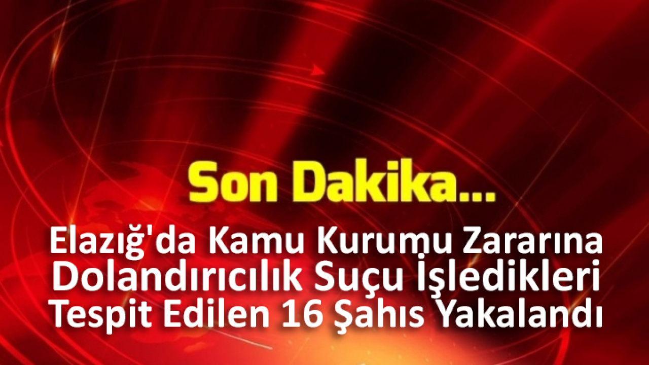 Elazığ'da Kamu Kurumu Zararına Dolandırıcılık Suçu İşledikleri Tespit Edilen 16 Şahıs Yakalandı