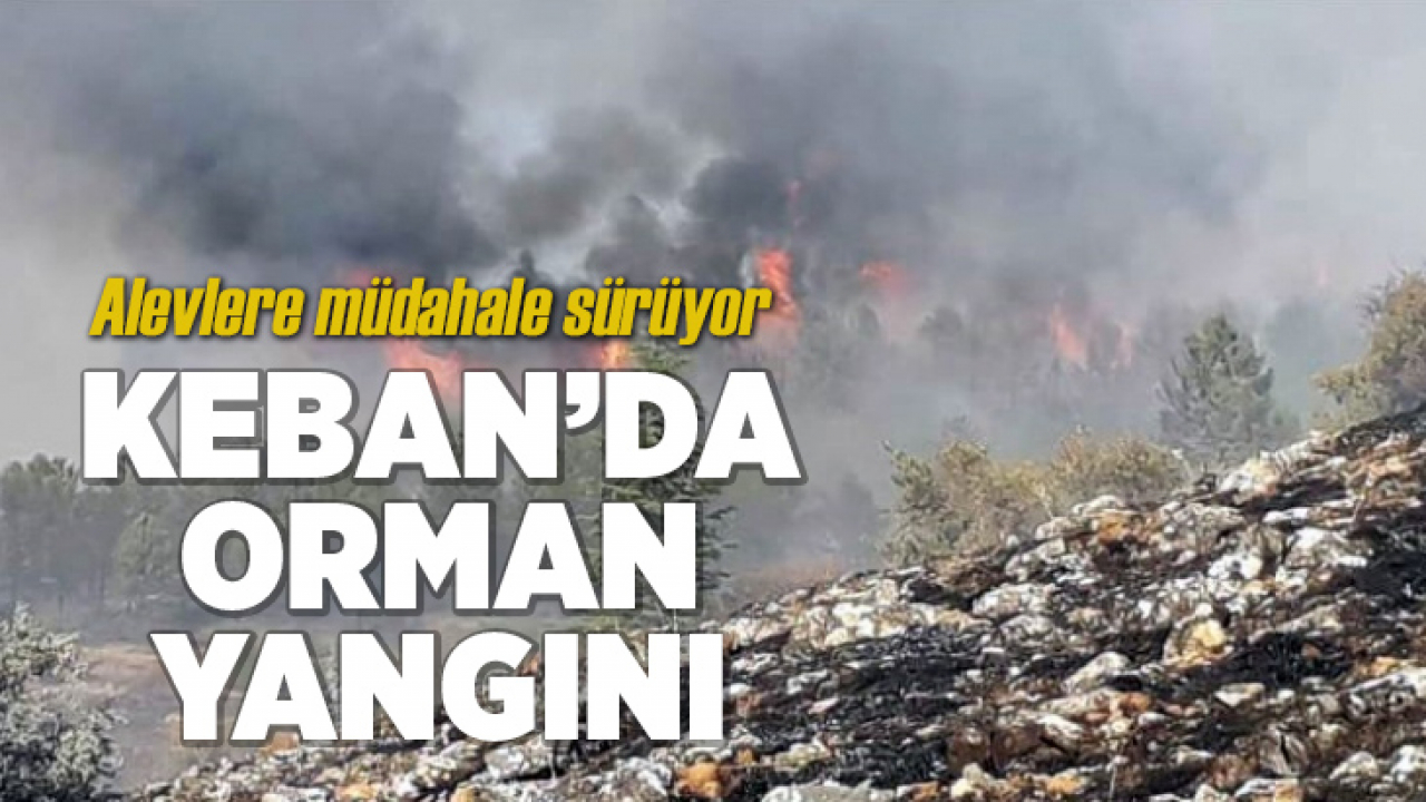 Keban'da orman yangını