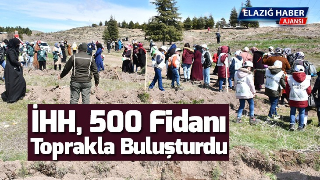 İHH, 500 Fidanı Toprakla Buluşturdu