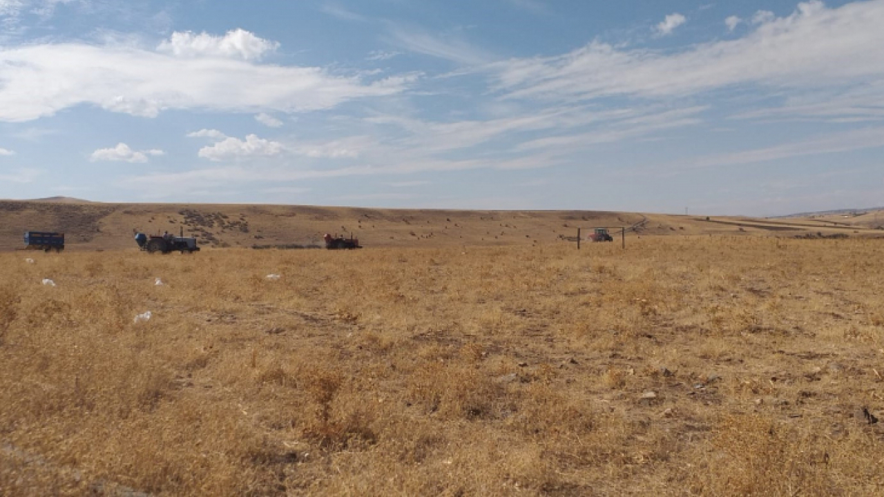 Elazığ'da 136 bin dekar alanda mera ıslah çalışmaları tamamlandı