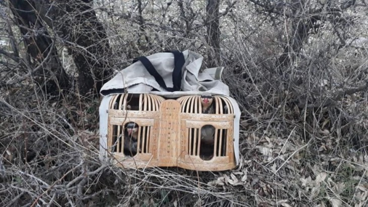 Elazığ'da Avlaklarda Denetim Yapıldı