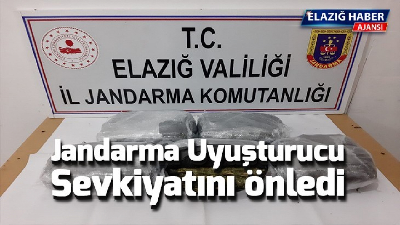 Jandarma uyuşturucu sevkiyatını önledi