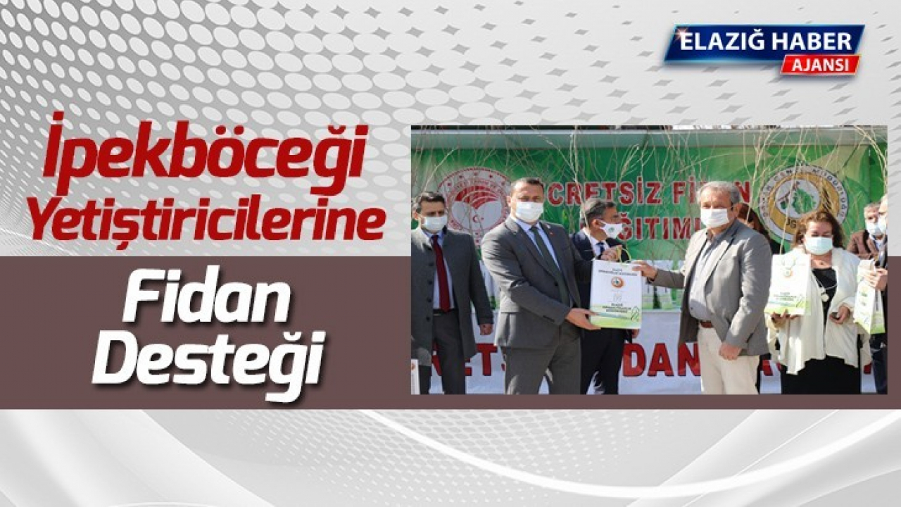 İpekböceği Yetiştiricilerine Fidan Desteği