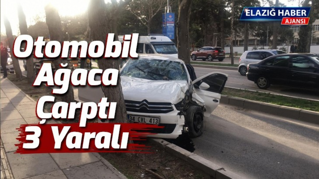 Otomobil ağaca çarptı: 3 yaralı