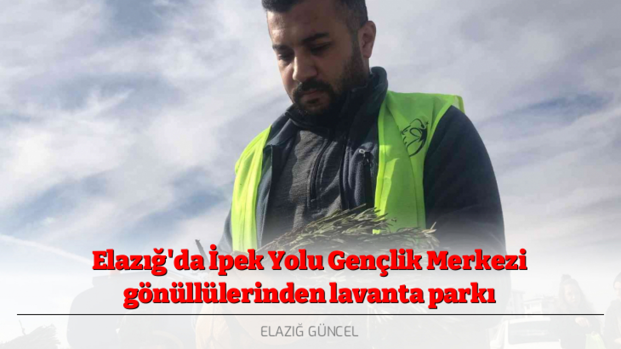 Elazığ'da İpek Yolu Gençlik Merkezi gönüllülerinden lavanta parkı