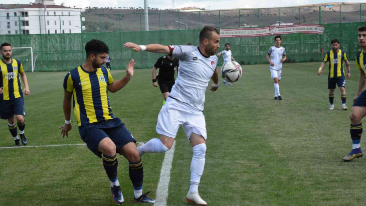 TFF 3. Lig: Elazığspor: 1 - Fatsa Belediyespor: 0