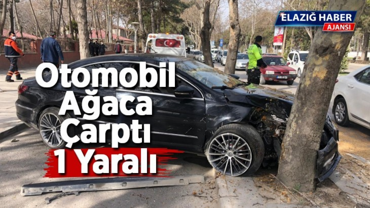 Otomobil ağaca çarptı: 1 yaralı