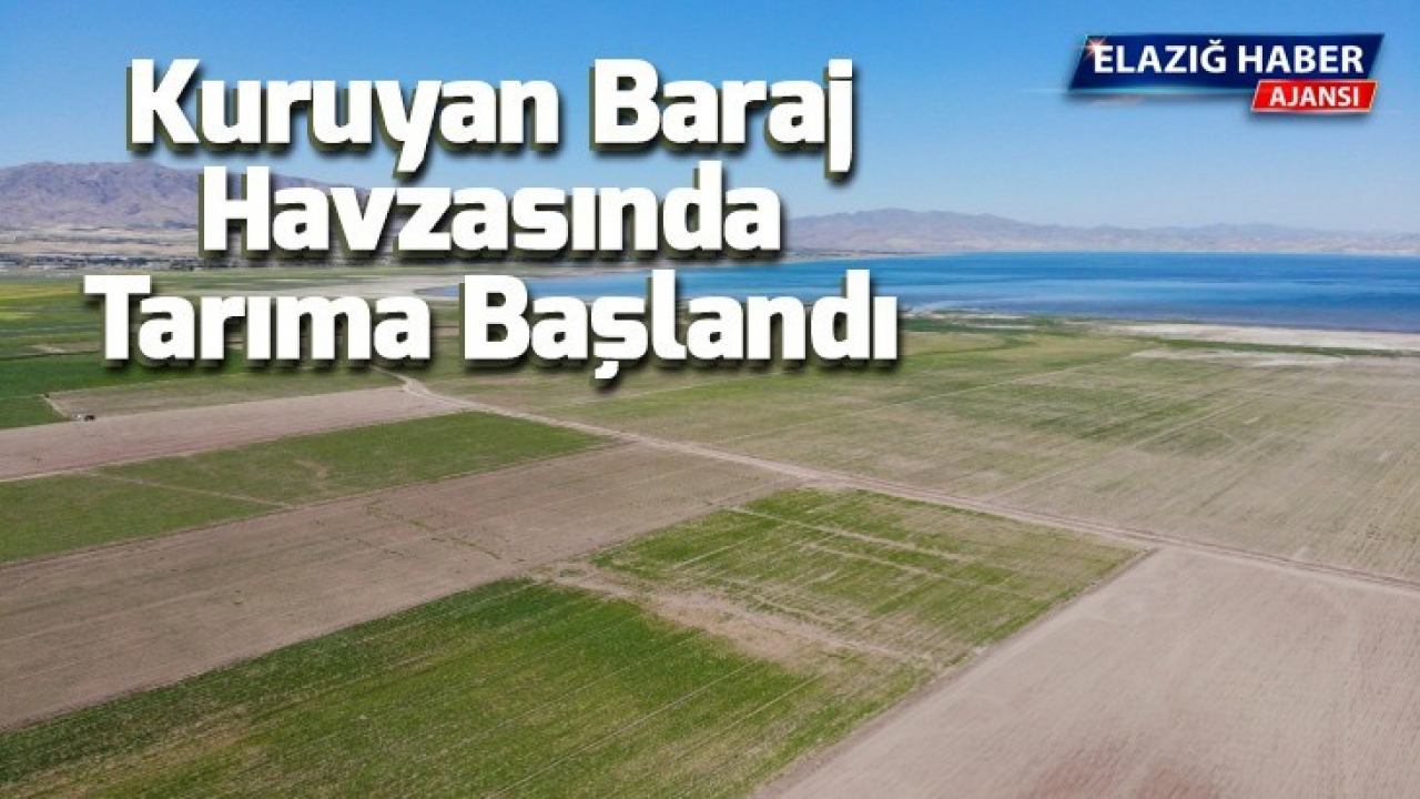 Kuruyan baraj havzasında tarıma başlandı