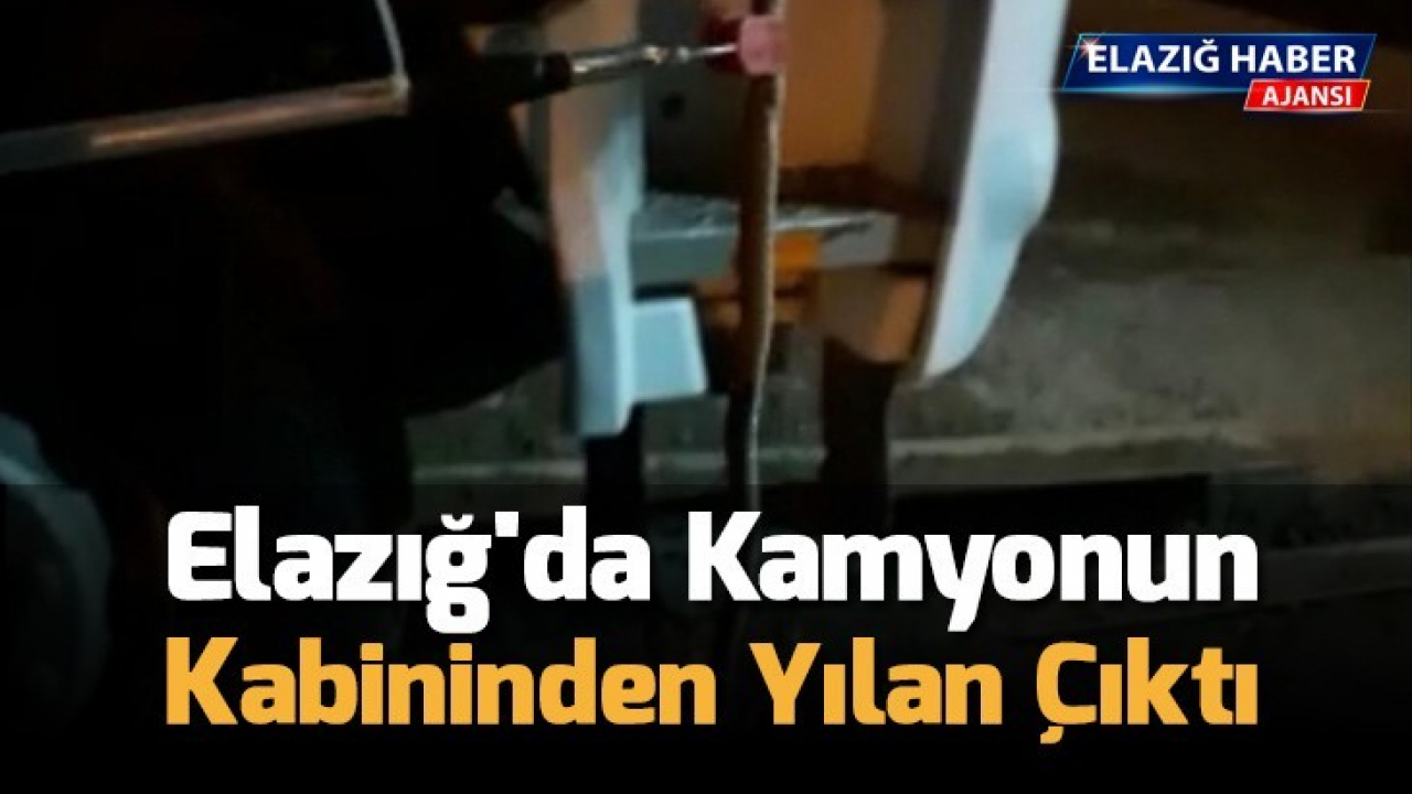 Elazığ'da kamyonun kabininden yılan çıktı