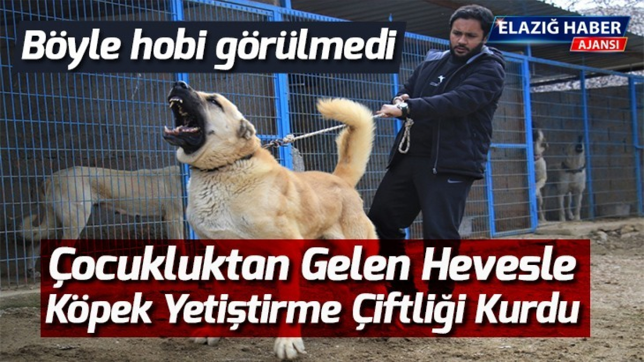 Yok böyle bir hobi