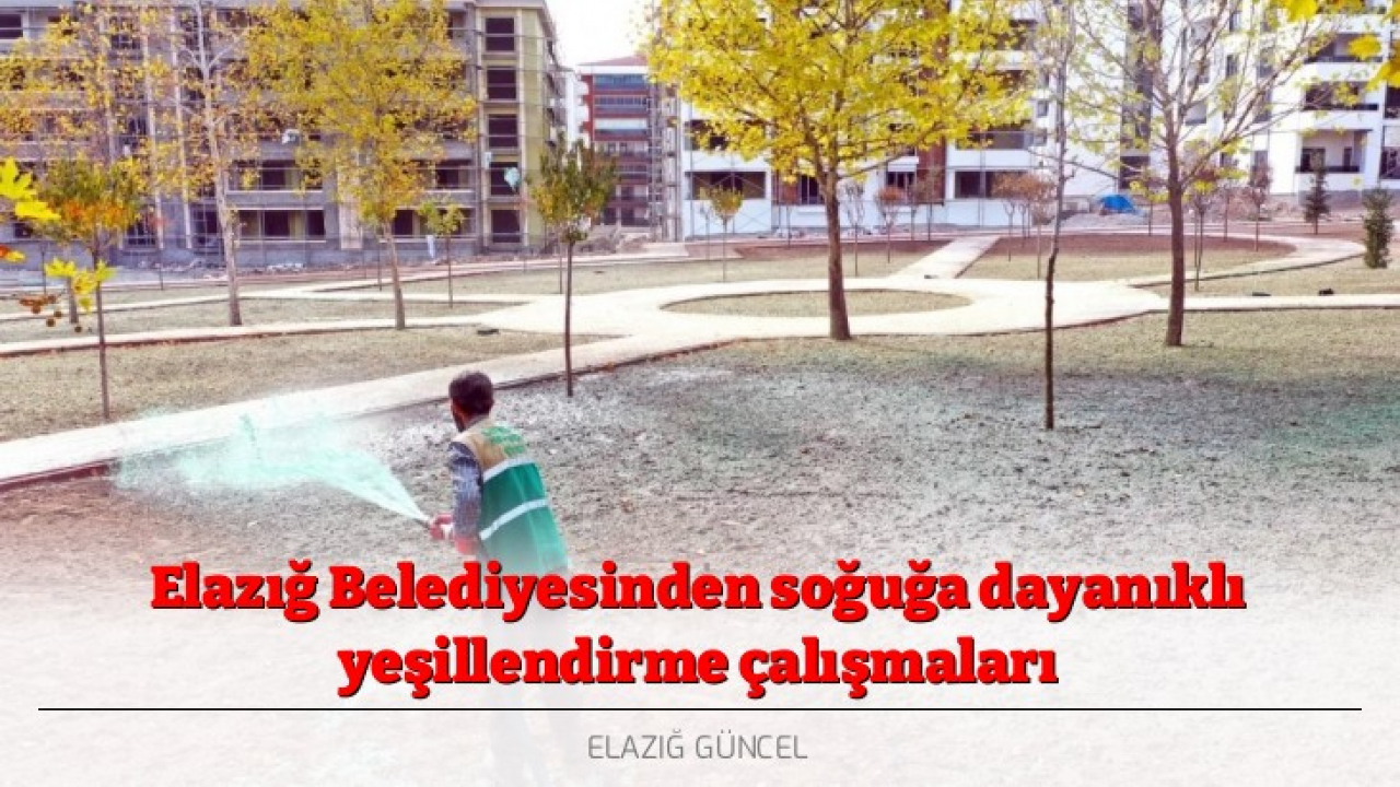 Elazığ Belediyesinden soğuğa dayanıklı yeşillendirme çalışmaları