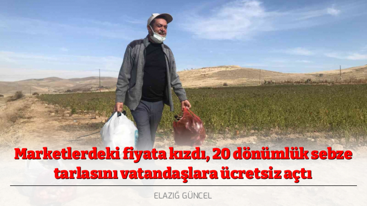 Marketlerdeki fiyata kızdı, 20 dönümlük sebze tarlasını vatandaşlara ücretsiz açtı