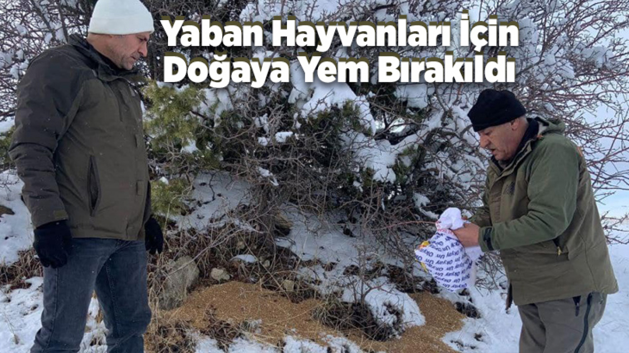 Yaban Hayvanları İçin Doğaya Yem Bırakıldı