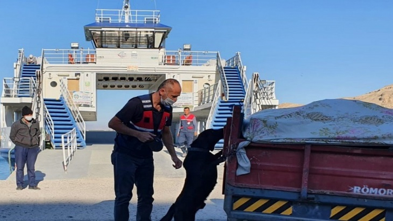 Elazığ'da jandarma ekipleri bir yılda 611 operasyon düzenledi