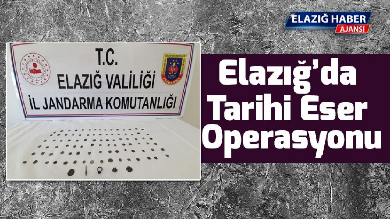 Elazığ'da tarihi eser operasyonu