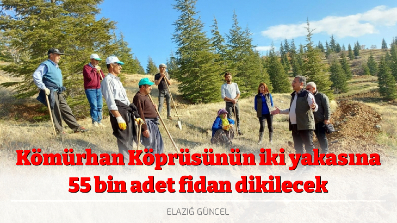 Kömürhan Köprüsünün iki yakasına 55 bin adet fidan dikilecek