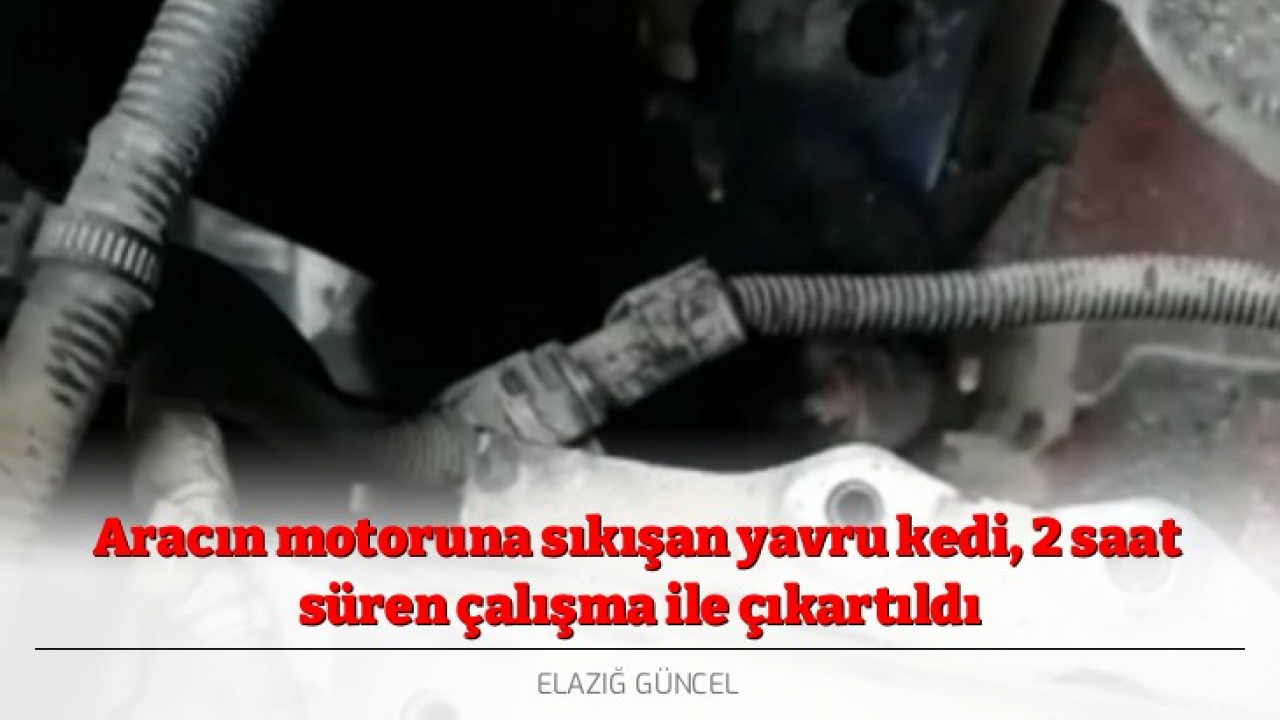 Aracın motoruna sıkışan yavru kedi, 2 saat süren çalışma ile çıkartıldı