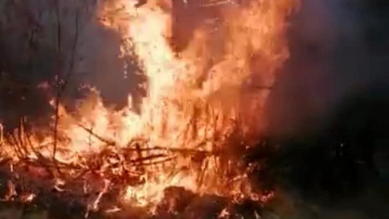 Elazığ'da yangın: 4 bahçe zarar gördü