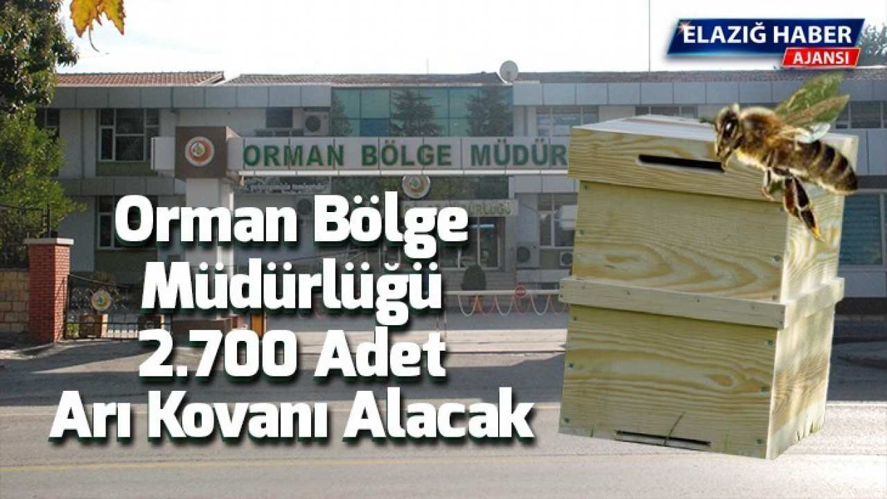 Orman Bölge Müdürlüğü 2.700 Adet Arı Kovanı Alacak