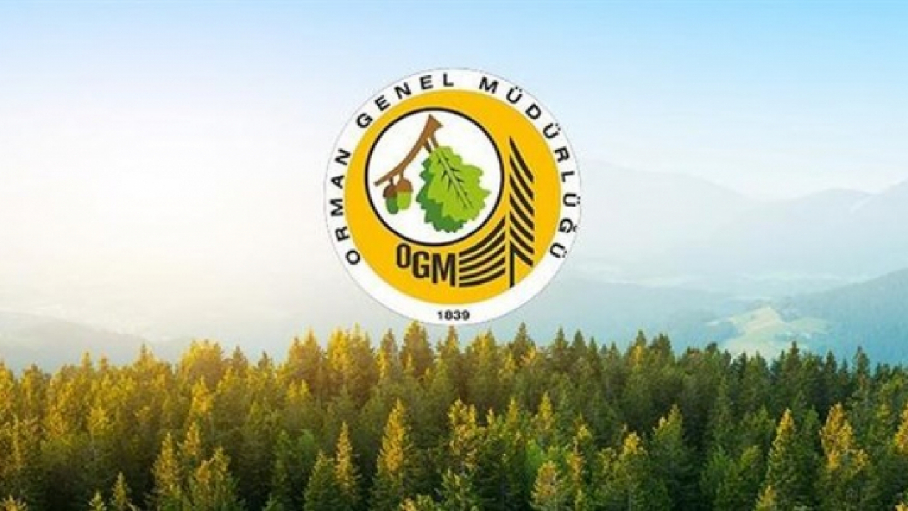 Milletvekili Bulut: Orman Bölge Müdürlüğümüz her yıl milyonlarca fidanı toprakla buluşturuyor