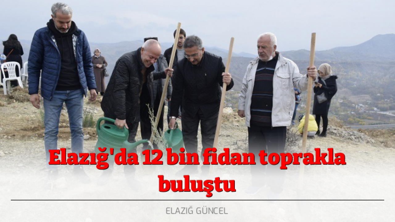 Elazığ'da 12 bin fidan toprakla buluştu
