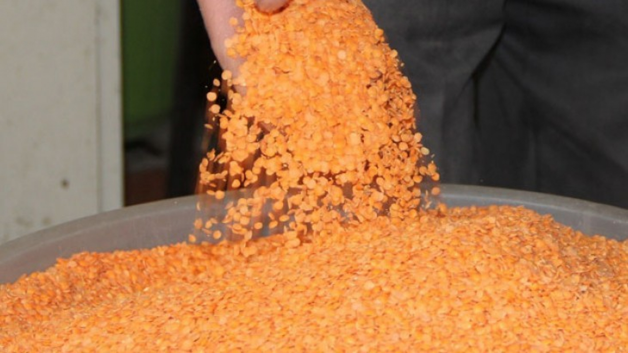 2020 yılında fiyatı en çok artan ürün kırmızı mercimek oldu