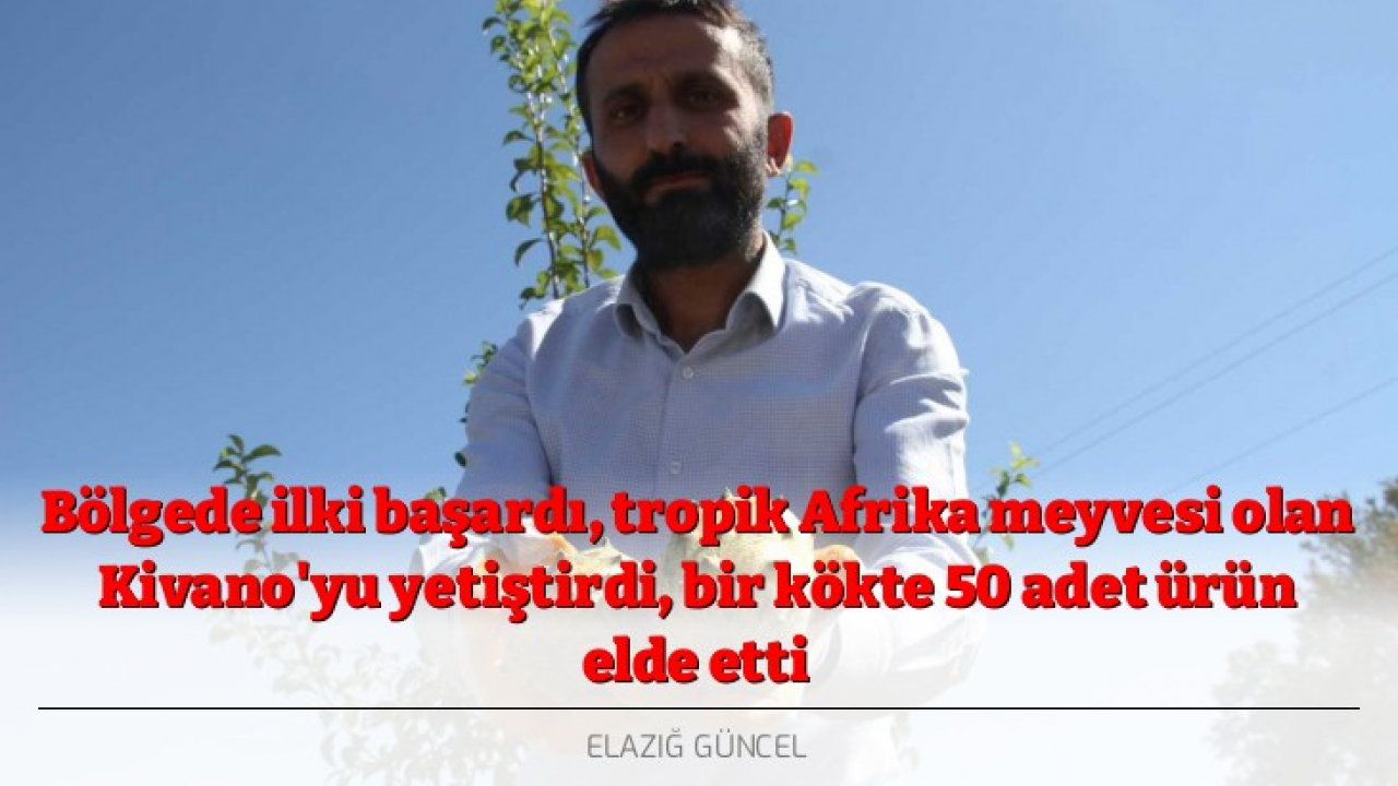 Bölgede ilki başardı, tropik Afrika meyvesi olan Kivano'yu yetiştirdi