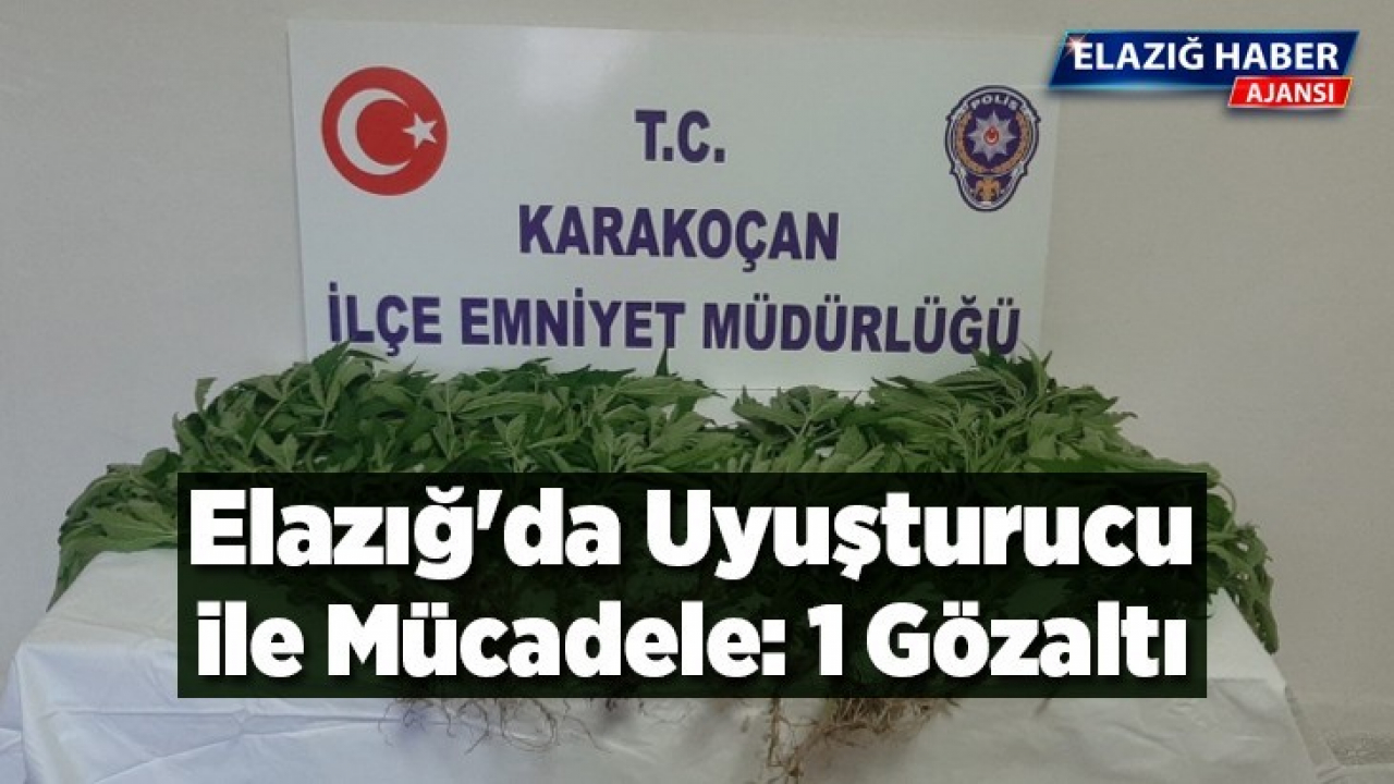 Elazığ'da uyuşturucu ile mücadele: 1 gözaltı