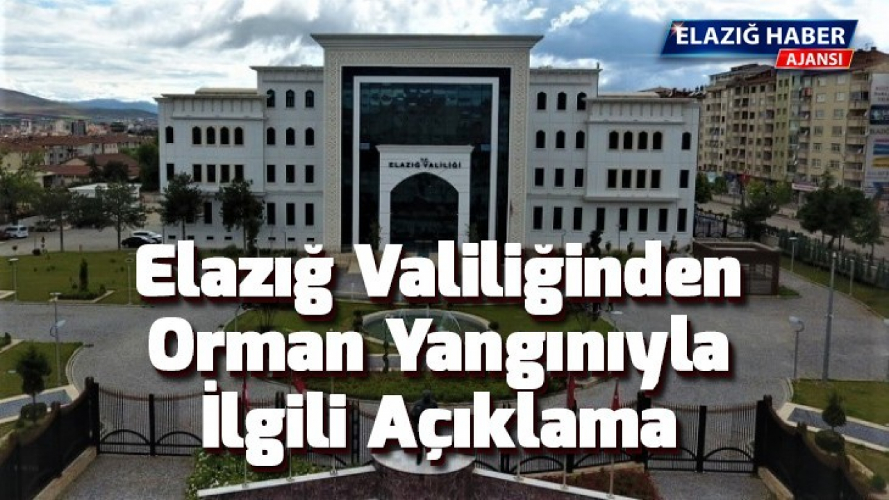 Elazığ Valiliğinden orman yangınıyla ilgili açıklama