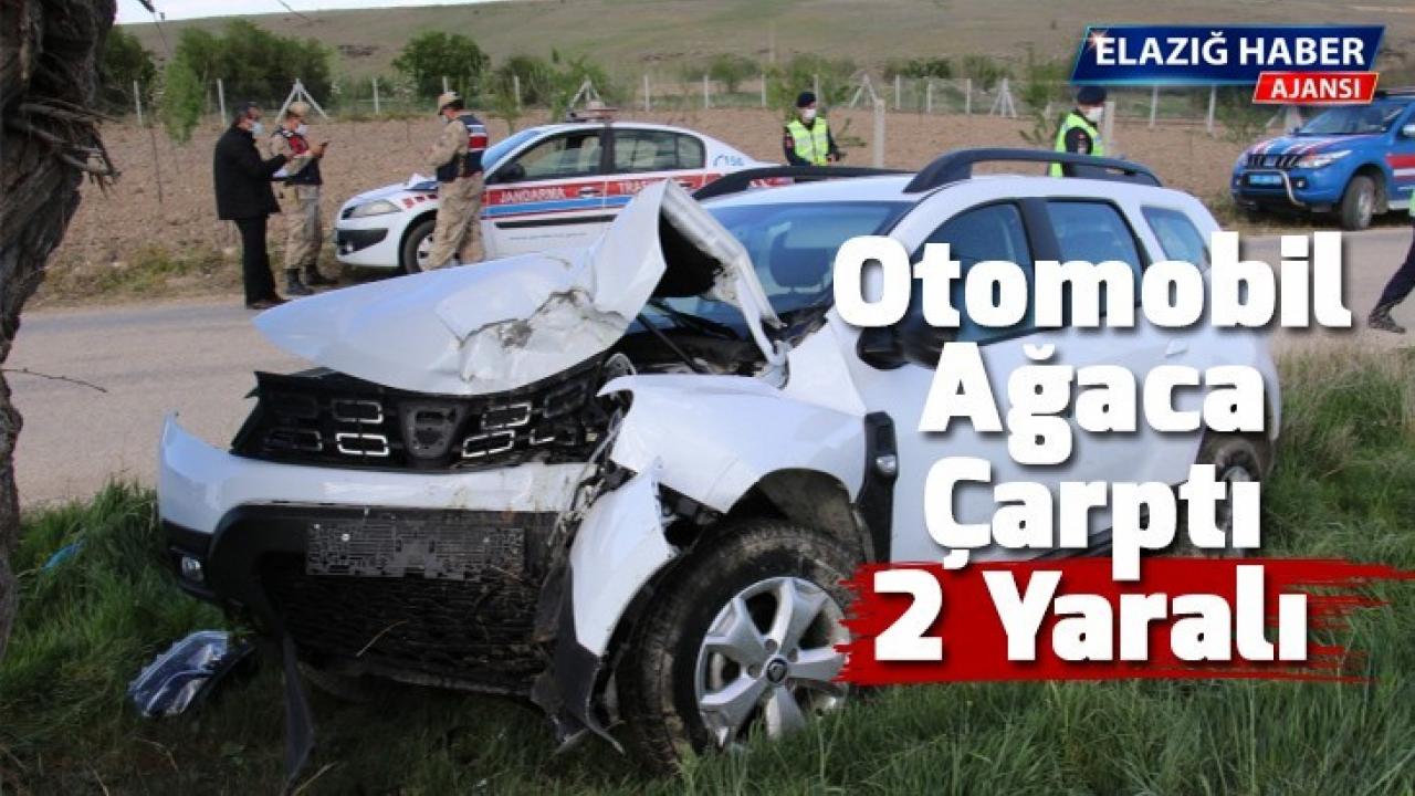 Otomobil ağaca çarptı: 2 yaralı