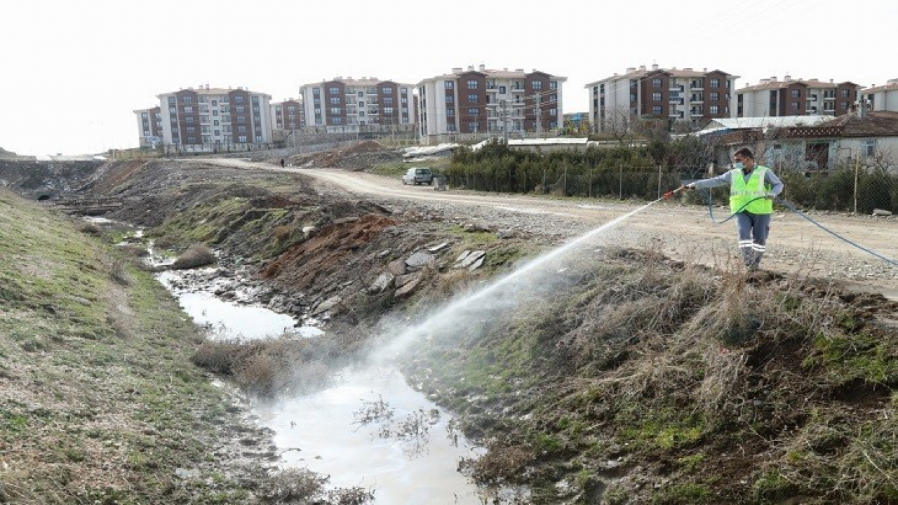Elazığ Belediyesi'nden Larva İle Mücadele