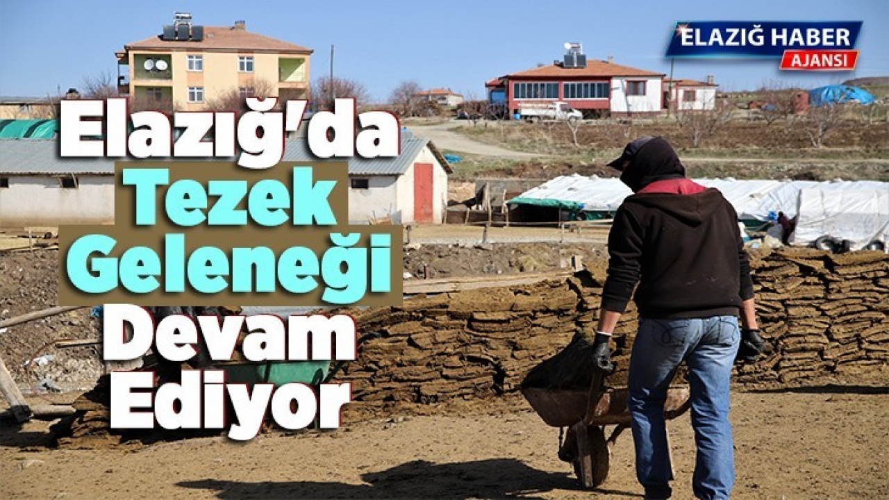 Elazığ'da Tezek Geleneği Devam Ediyor