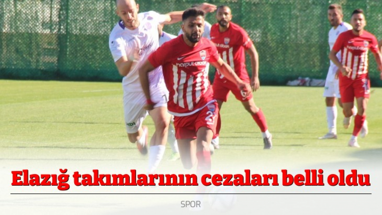 Elazığ takımlarının cezaları belli oldu