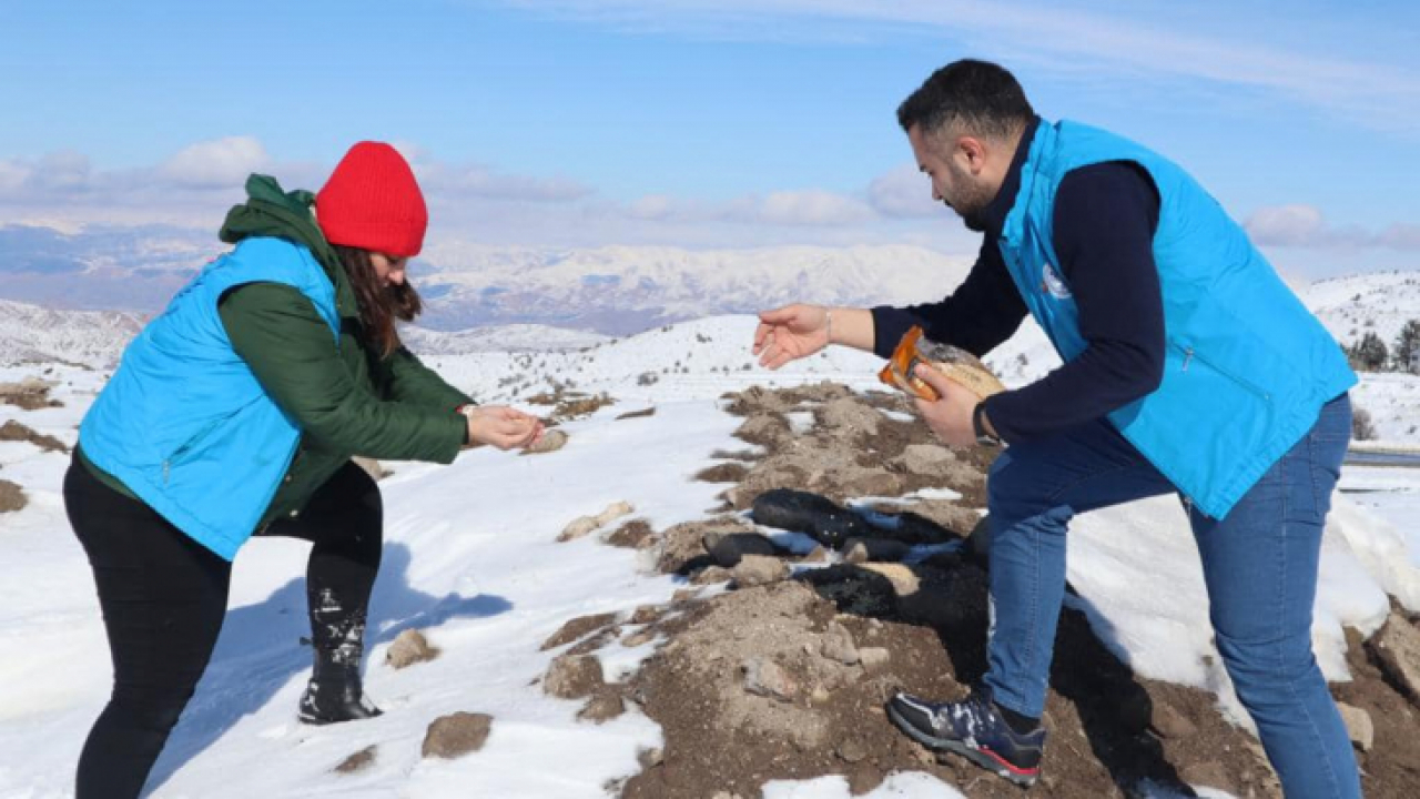 Gençler sokak hayvanları için doğaya yem bıraktı