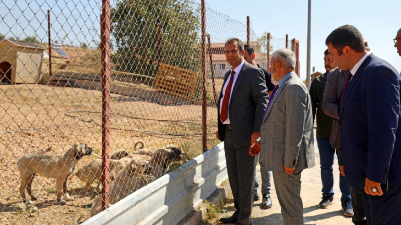 Elazığ Belediyesi Geçici Hayvan Bakımevi Ve Rehabilitasyon Merkezi'ne Ziyaret