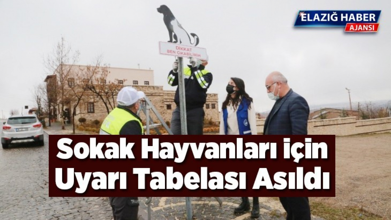 Elazığ'da sokak hayvanlarını korumak için uyarı tabelası