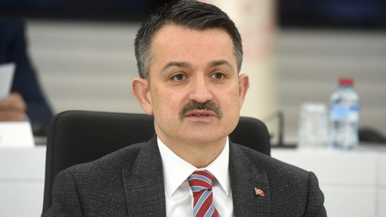 Destek ödemeleri bugün itibariyle yatırılacak