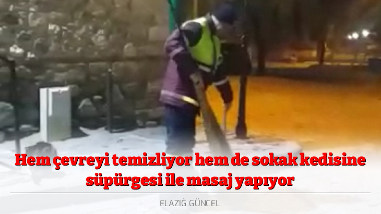 Hem çevreyi temizliyor hem de sokak kedisine süpürgesi ile masaj yapıyor