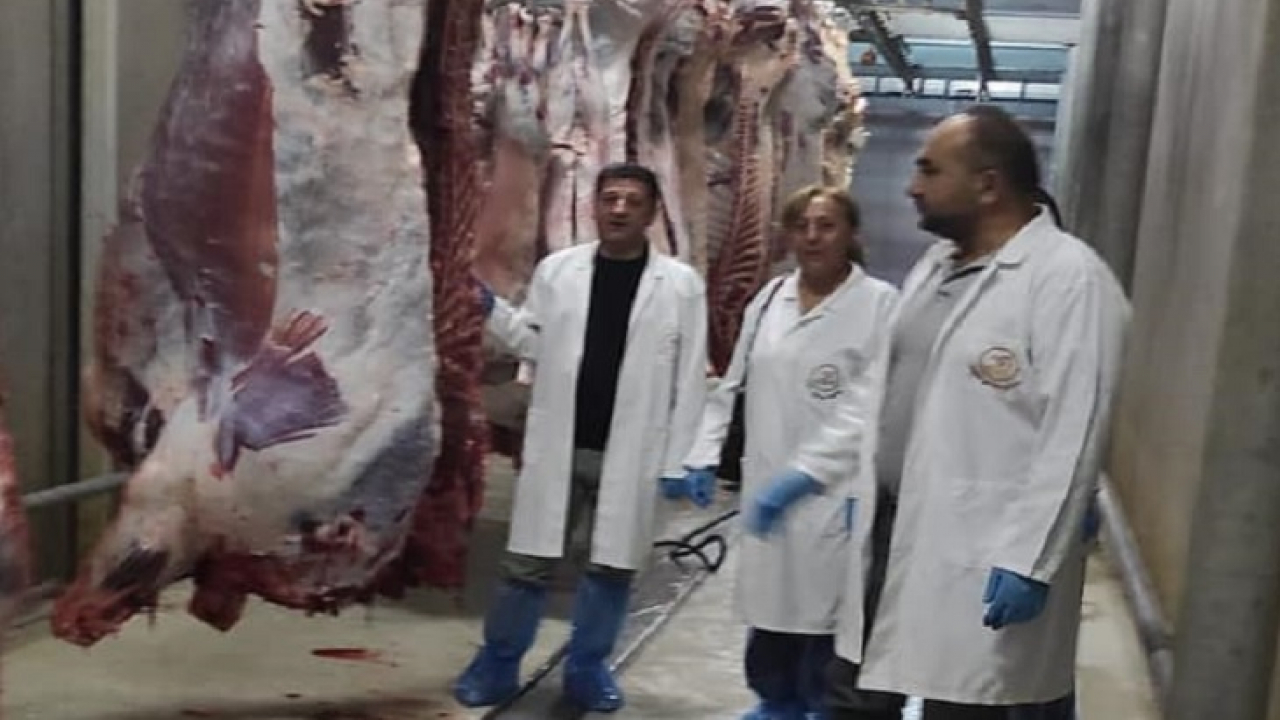 Elazığ'da büyükbaş ve küçükbaş hayvan kesimhaneleri denetlendi