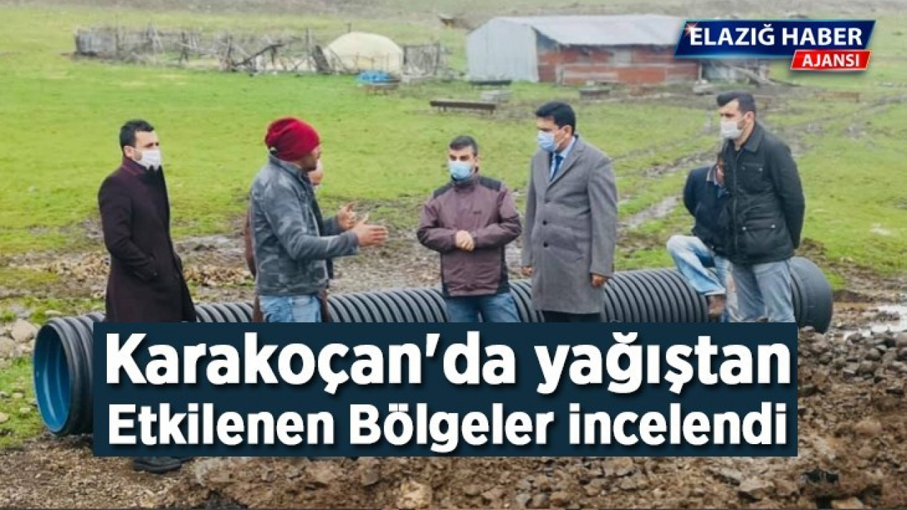 Karakoçan'da yağıştan etkilenen bölgeler incelendi