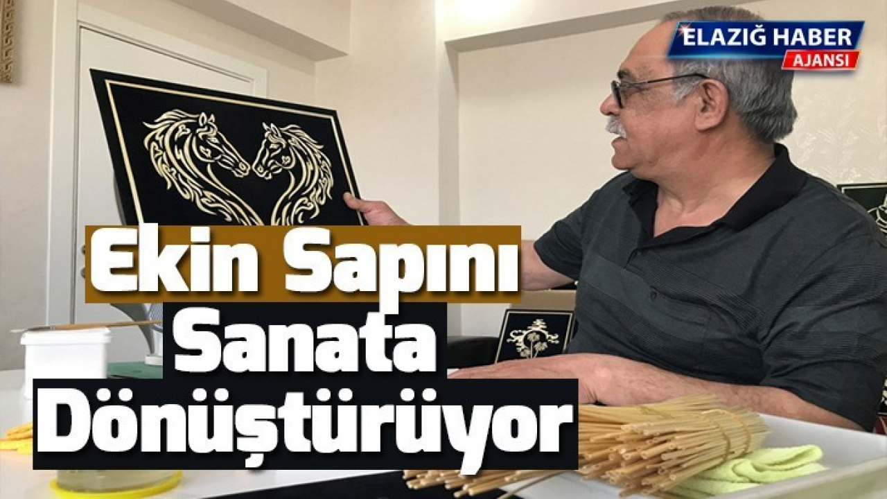 Ekin sapını sanata dönüştürüyor