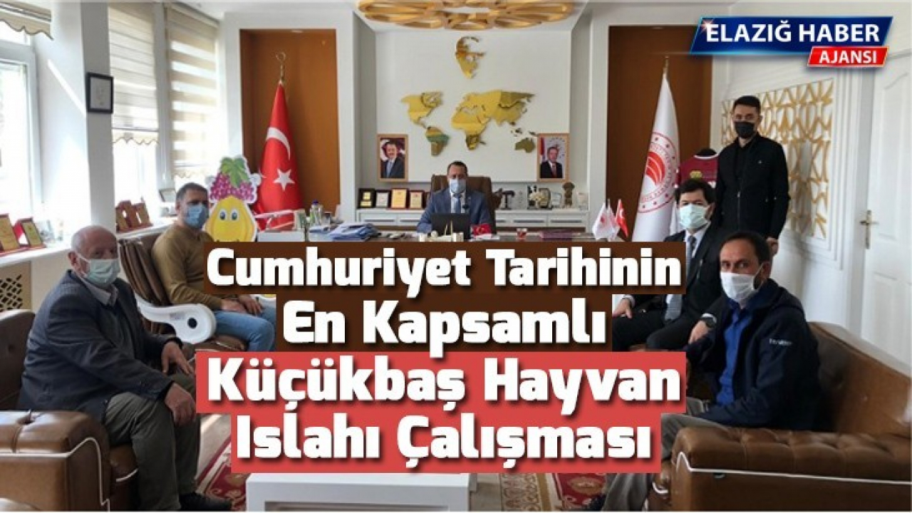 Cumhuriyet tarihinin en kapsamlı küçükbaş hayvan ıslahı çalışması