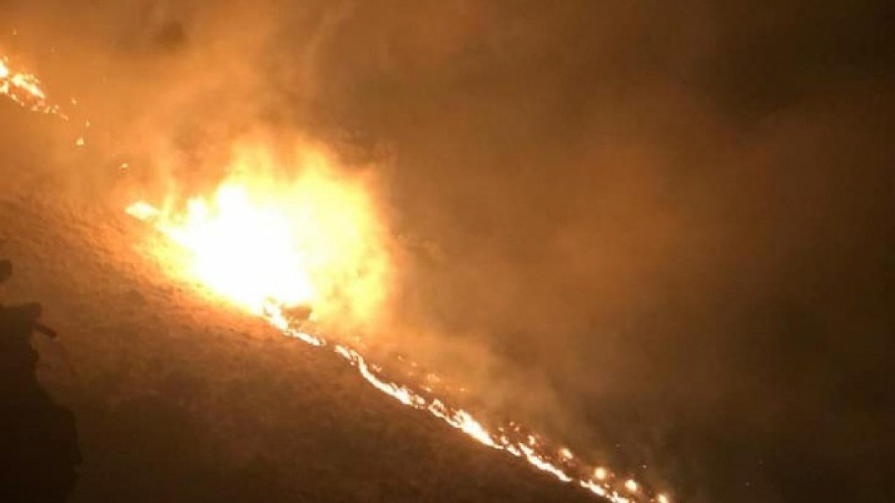 Keban'daki örtü yangını söndürüldü