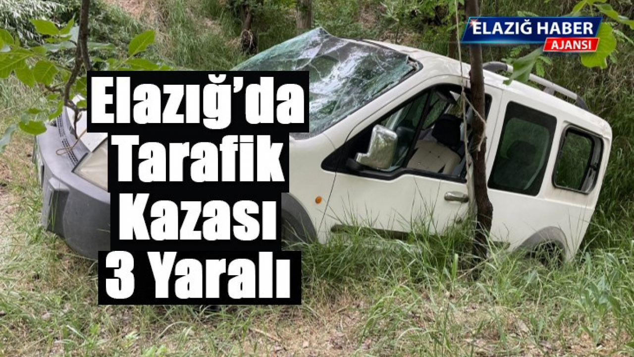 Elazığ'da hafif ticari araç şarampole uçtu: 3 yaralı