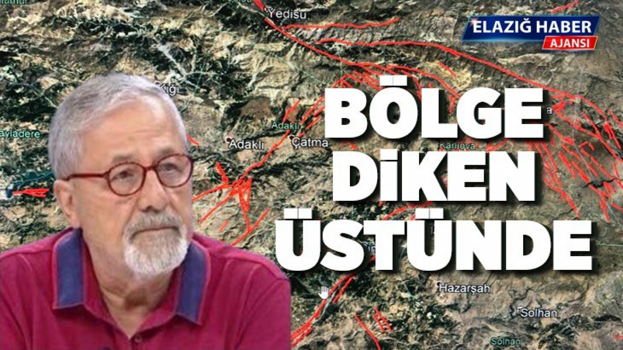 Bölge Diken Üstünde
