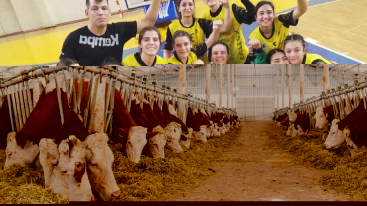 Sütün fiyatı kalitesine göre değişecek