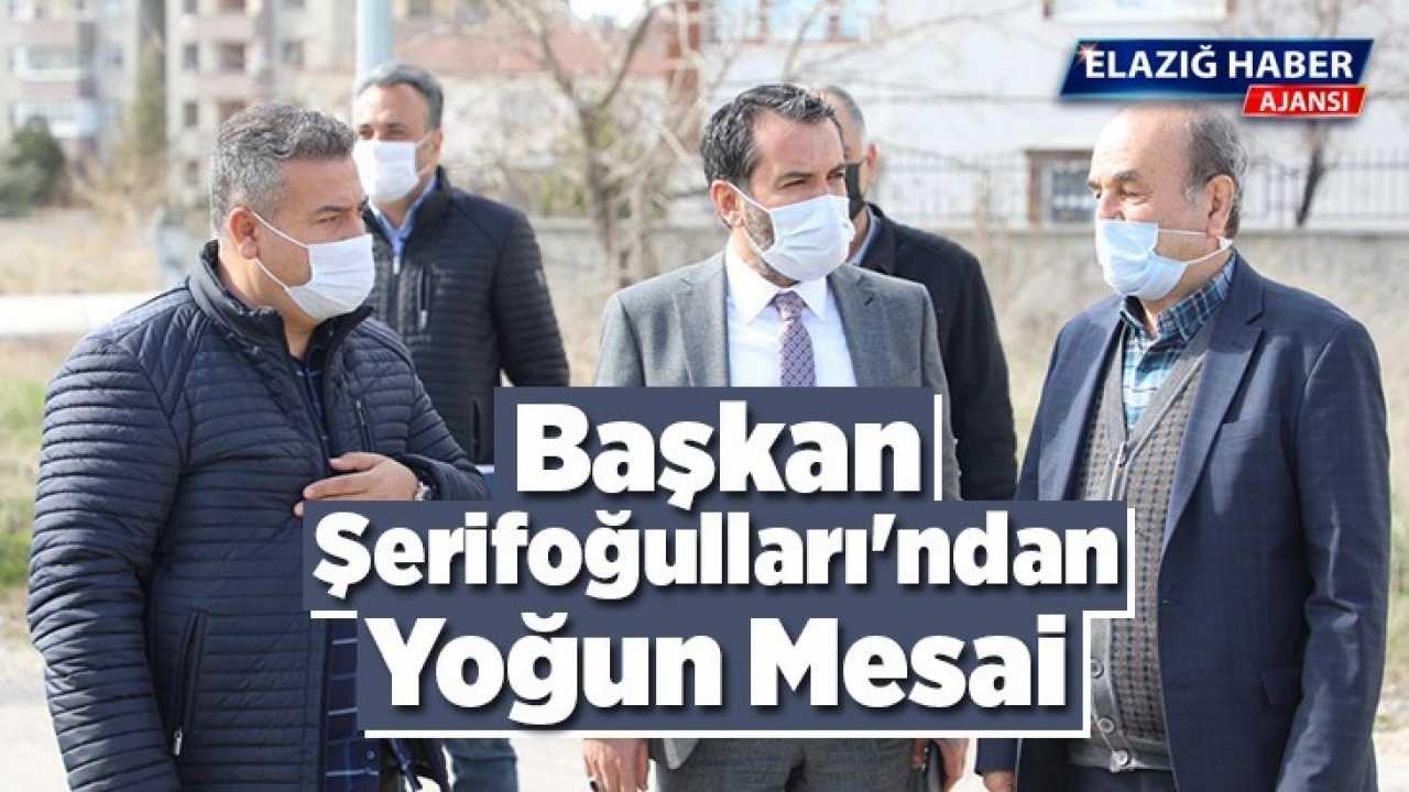 Başkan Şerifoğulları'ndan Yoğun Mesai