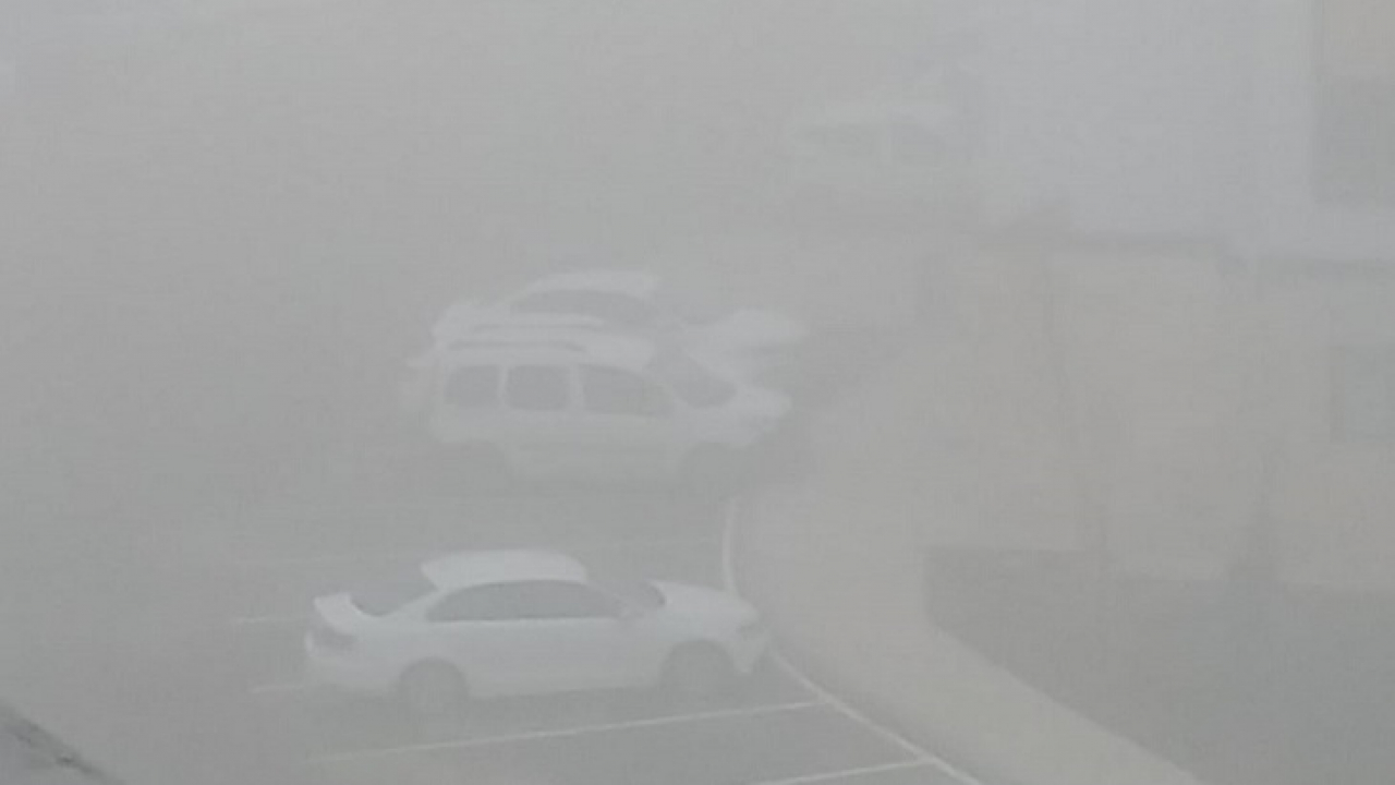 Avrupa Gençler Kick Boks Şampiyonasında iki sporcumuz madalya kazandı